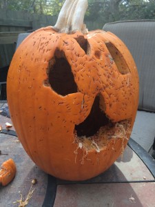 halloween pumpkin rotting
