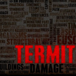 Termite Swarm Season is upon us, are you protected by a Termite Bond?
