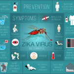 zika virus symptoms graphic