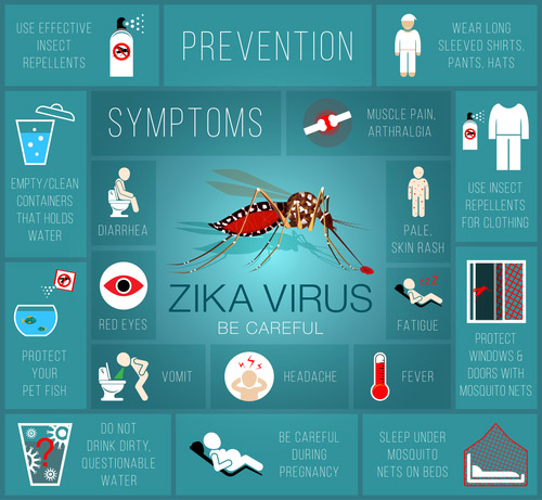 zika virus symptoms graphic