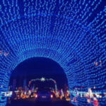 Best Christmas Lights in the Crestview, FL area
