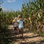 Corn maze crestview fl fall events
