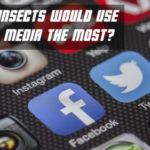 Which Insects Would Use Social Media the Most?﻿